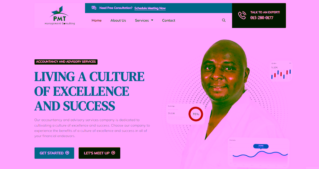PMT Management Consulting website project
